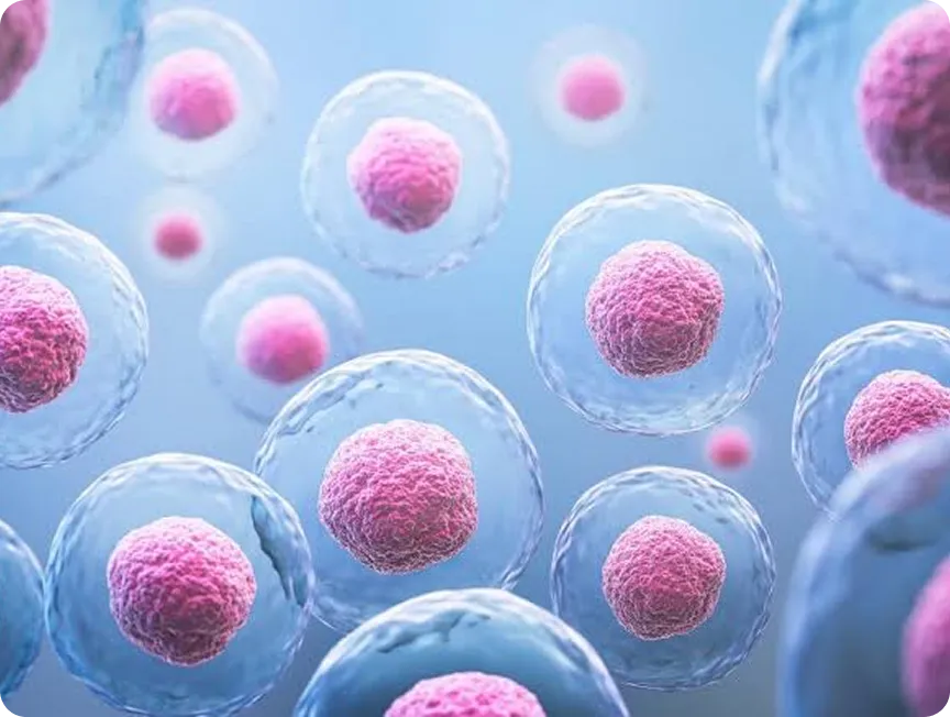 PhytoCellTec Exosomes