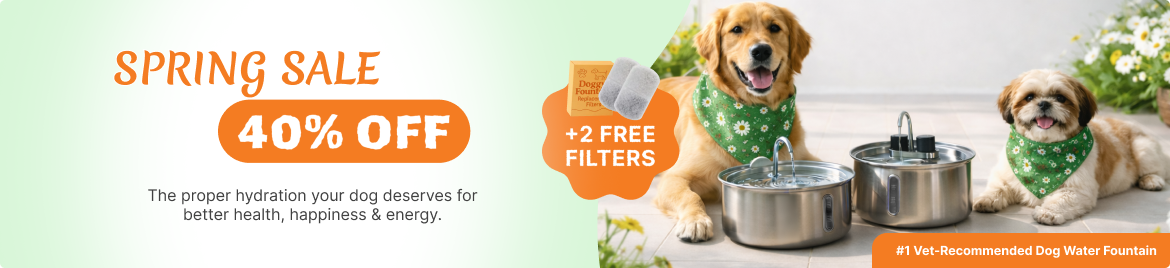 Special offer banner
