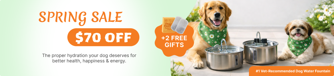 Special offer banner