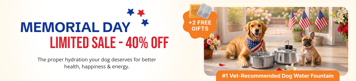 Special offer banner