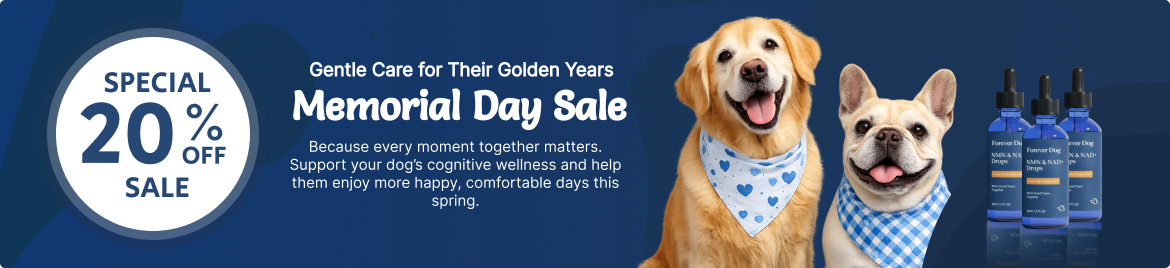 Special offer banner
