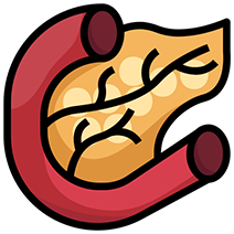 Beef Pancreas icon
