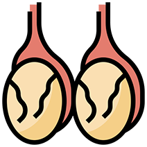 Beef Testicles icon