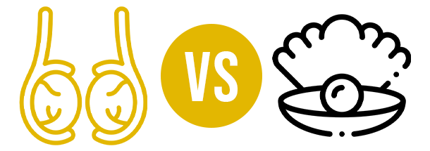 Beef Testicles vs Oyster comparison