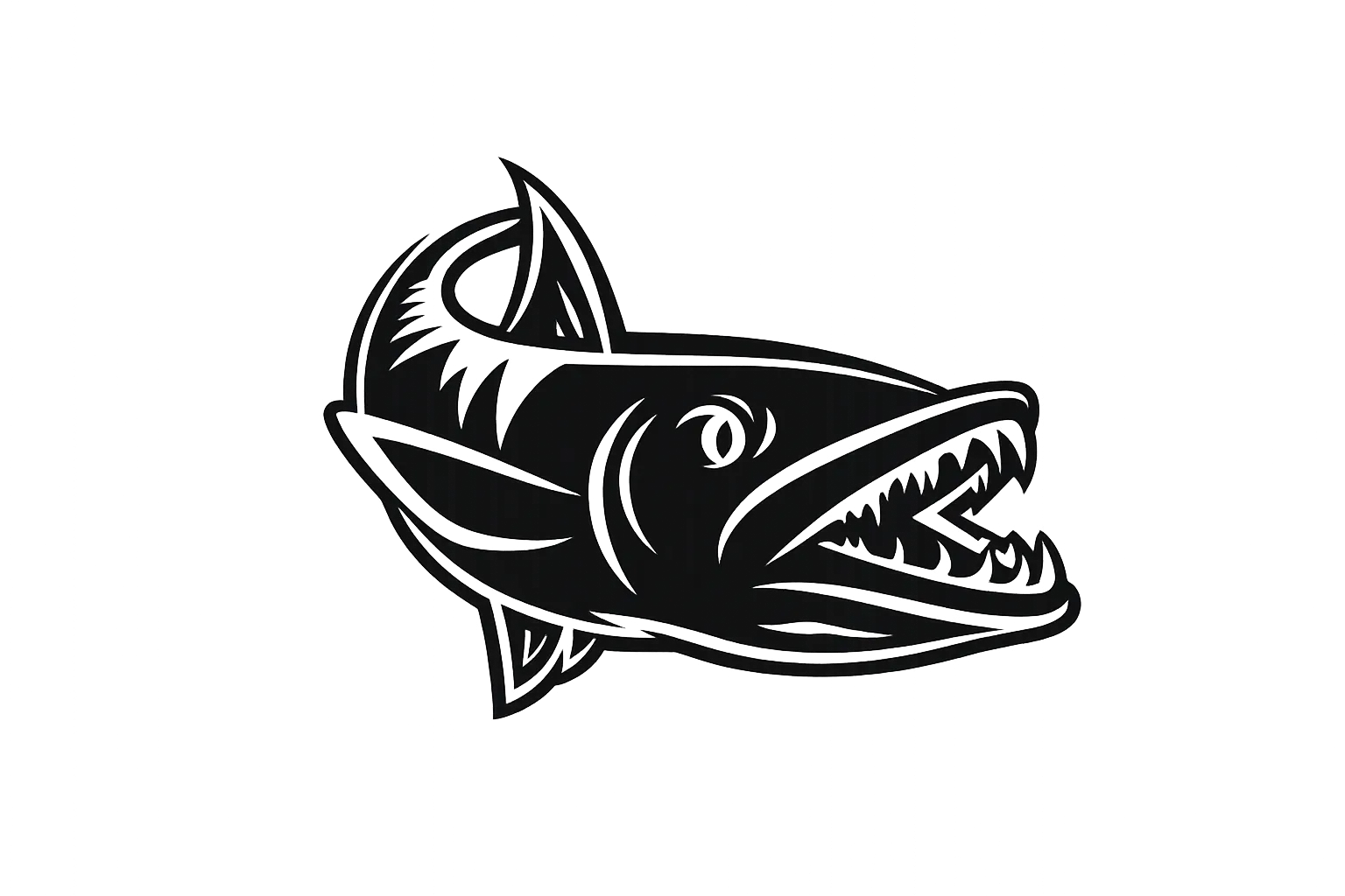Barracuda