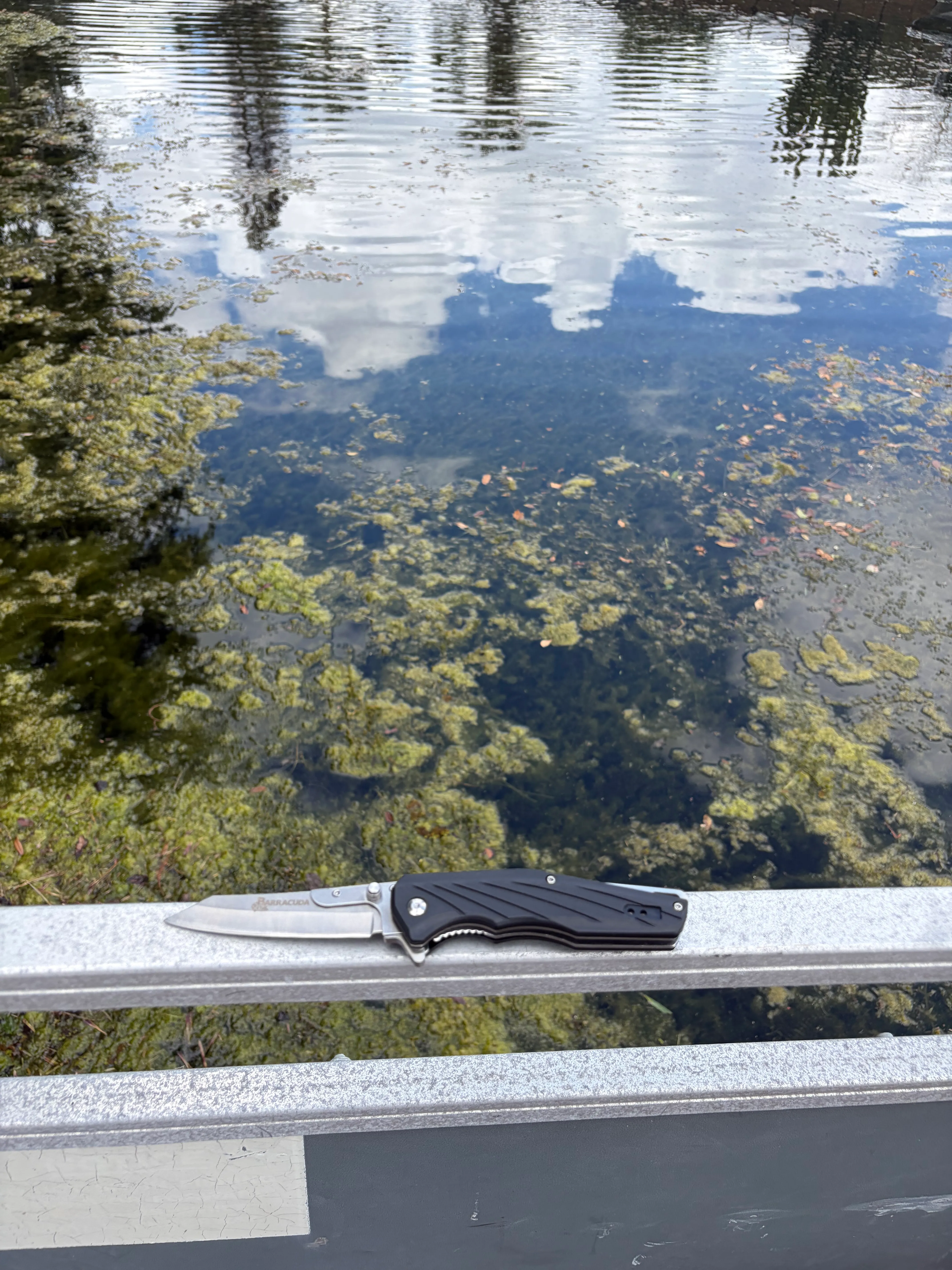 Barracuda outdoors