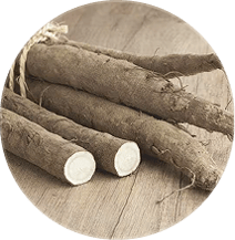 Burdock Root