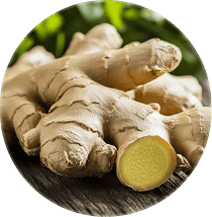 Ginger Root