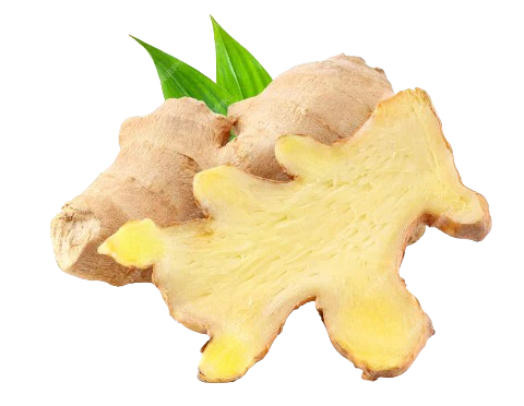 Ginger
