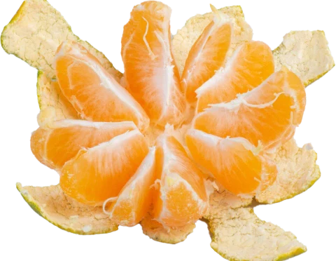 Cardamon