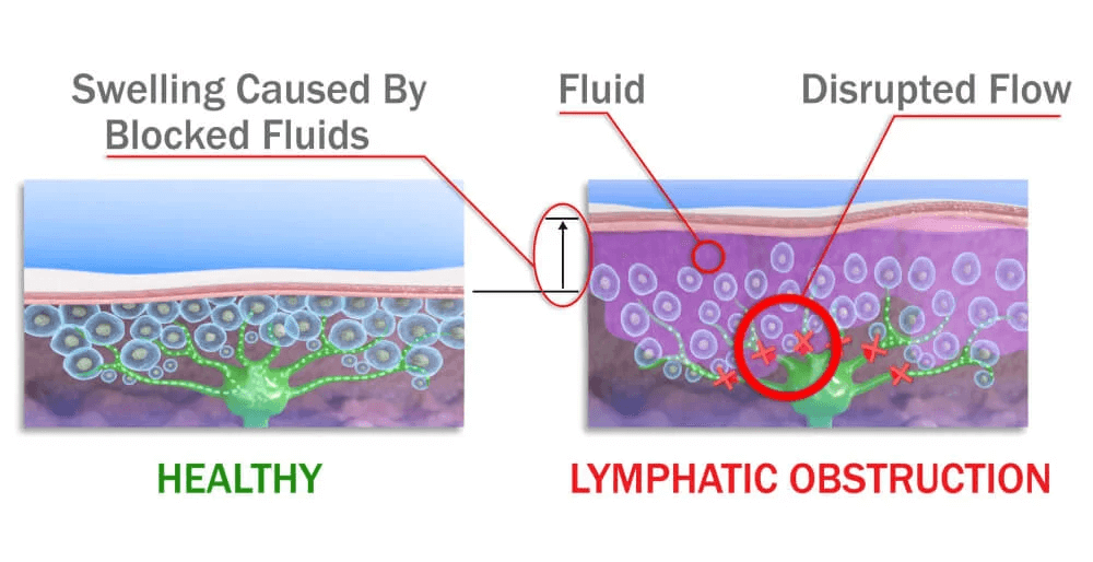 Scientific explanation graphic