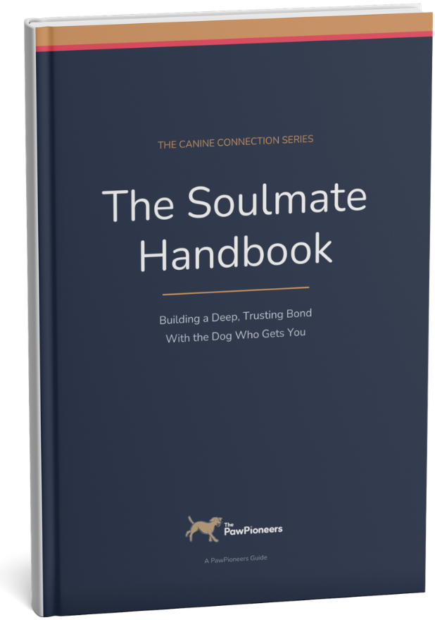 The Soulmate Handbook book cover mockup