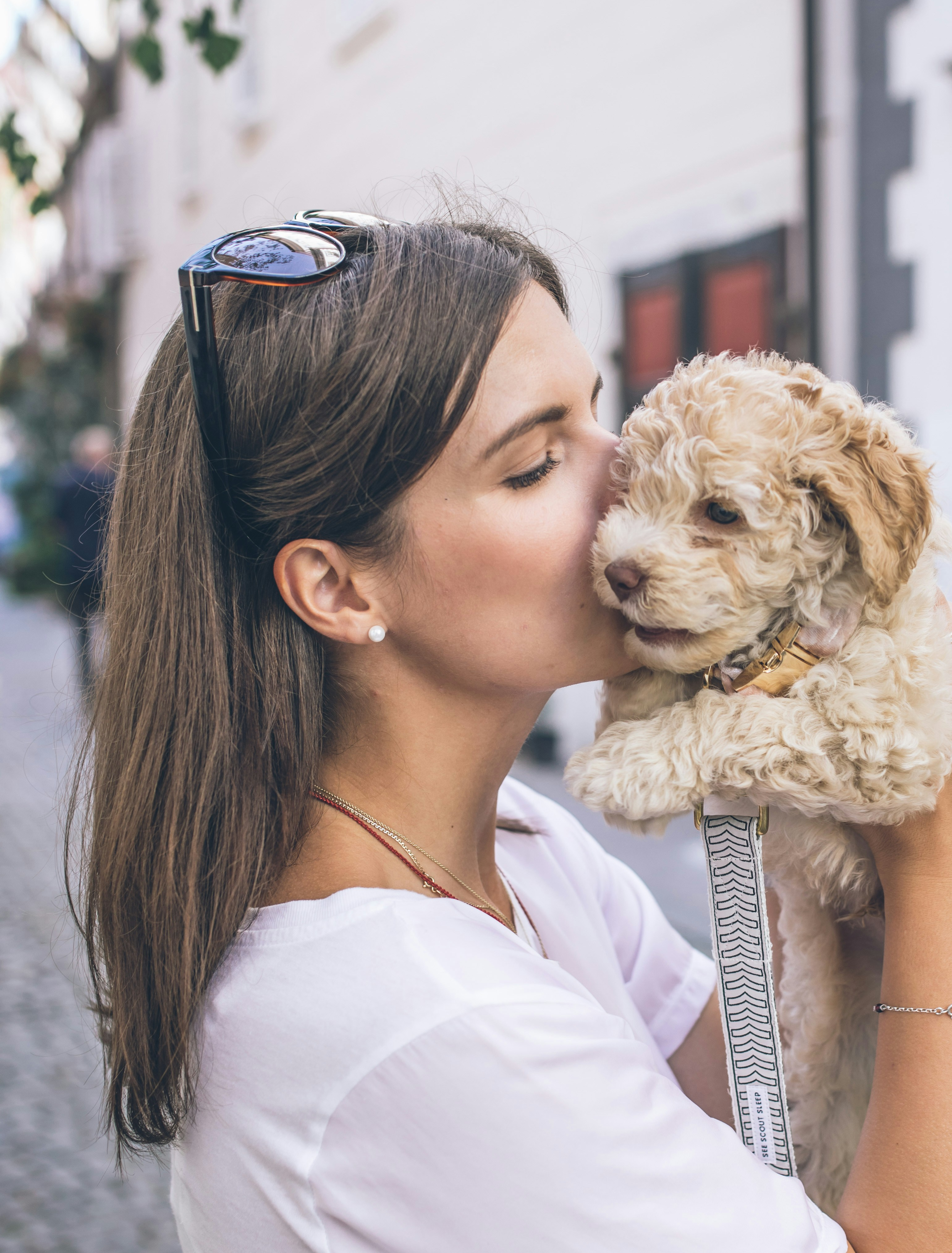 Woman kissing her cream poodle puppy