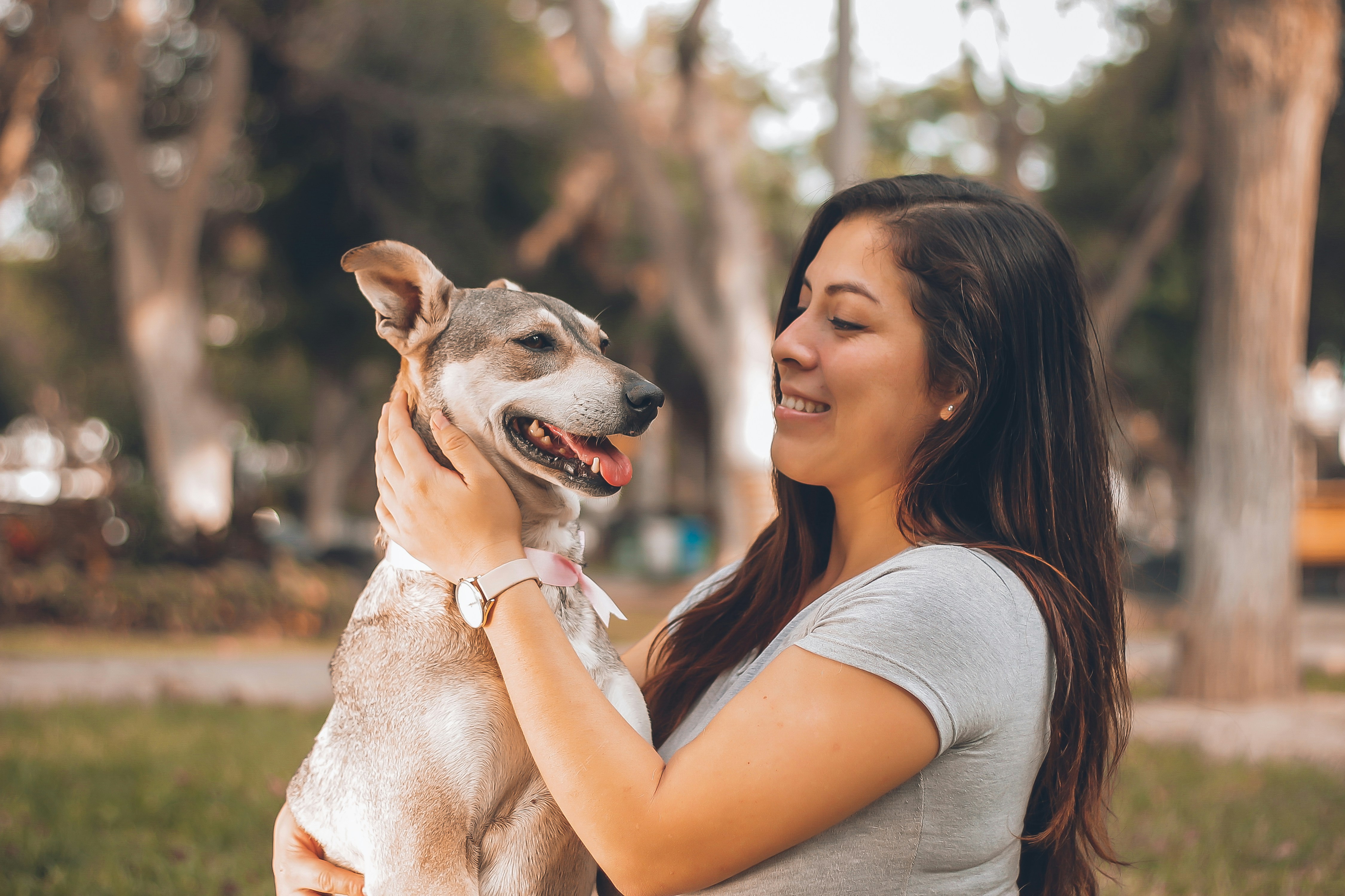 Woman kneeling with her golden retriever, golden hour
