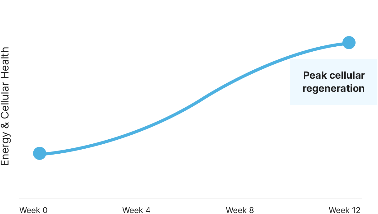 How NAD works