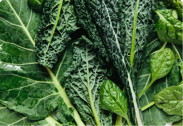 ingredient-img