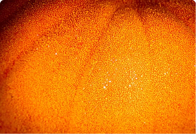 ingredient-img