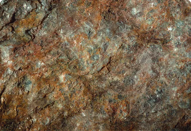 ingredient-img