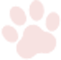 paw