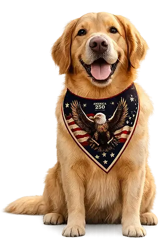 pop-dog2