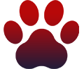 pop-paw