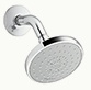 Standard Showerhead