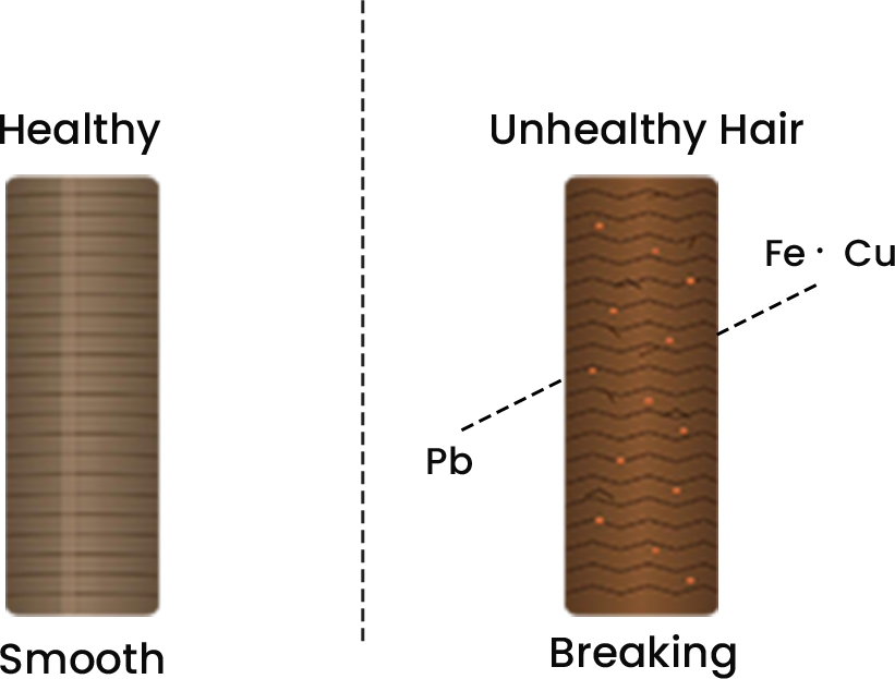 heavy metals graphic