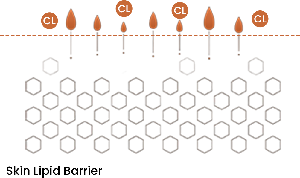 skin damage graphic