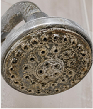 shower