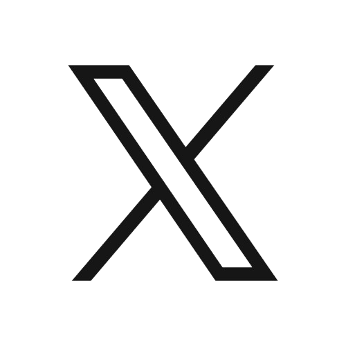 x icon