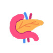 Beef Pancreas icon
