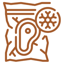 Freeze-Dried Icon