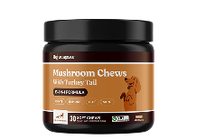 Rejuvapaw Mushroom Chews