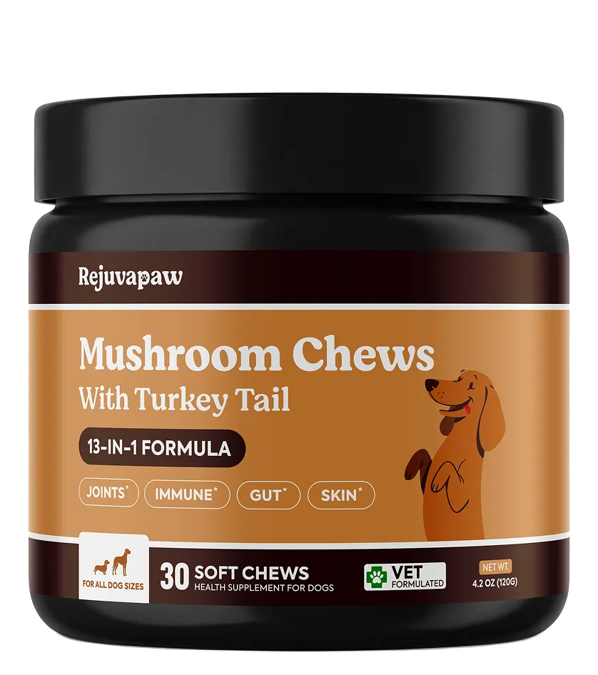 Rejuvapaw Mushroom Chews