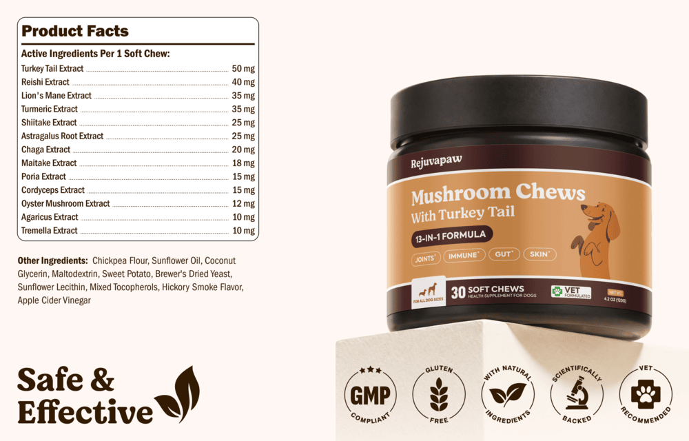 Rejuvapaw Mushroom Chews