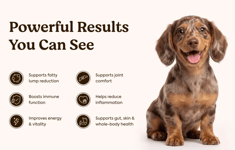 Rejuvapaw Mushroom Chews