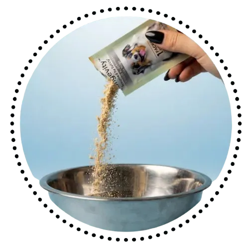 Probiotic Dog Chews