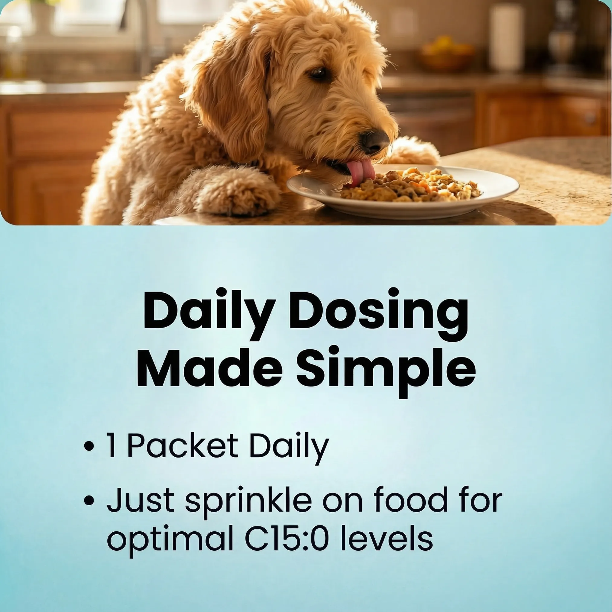 Probiotic Dog Chews